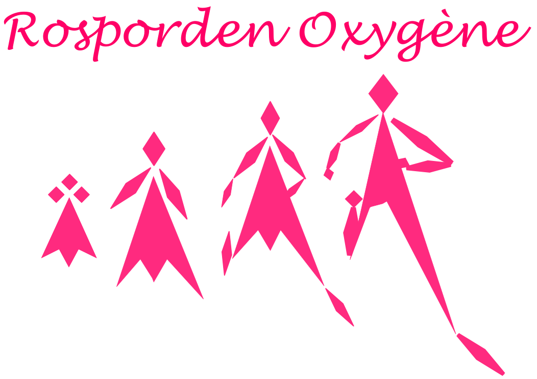 logo%20hermines%20qui%20courent